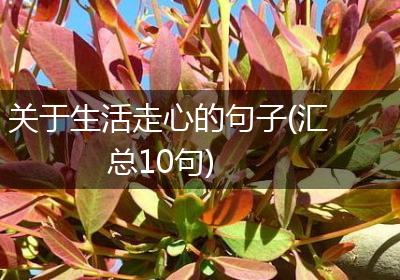 关于生活走心的句子(汇总10句)