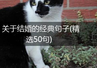 关于结婚的经典句子(精选50句)