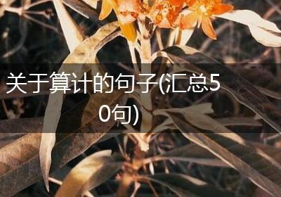 关于算计的句子(汇总50句)