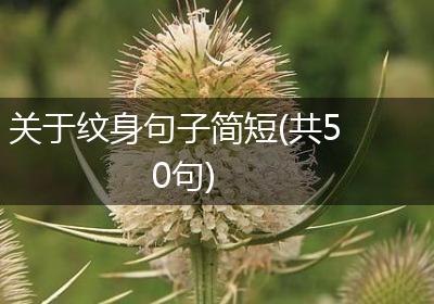关于纹身句子简短(共50句)