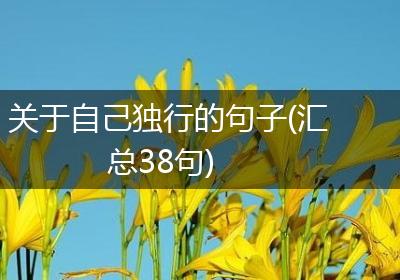 关于自己独行的句子(汇总38句)