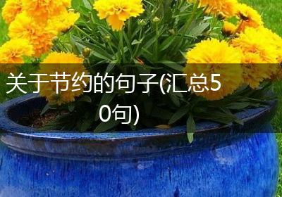 关于节约的句子(汇总50句)