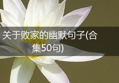 关于败家的幽默句子(合集50句)