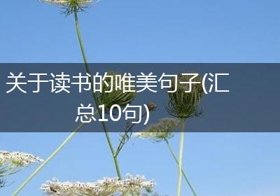 关于读书的唯美句子(汇总10句)