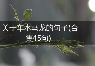 关于车水马龙的句子(合集45句)