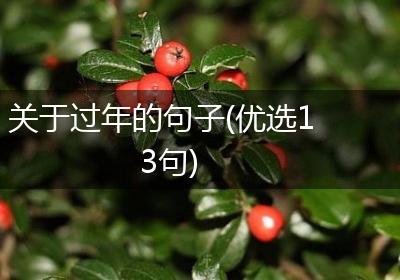 关于过年的句子(优选13句)