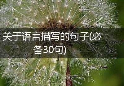 关于语言描写的句子(必备30句)