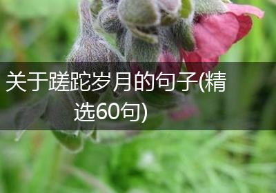 关于蹉跎岁月的句子(精选60句)