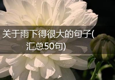 关于雨下得很大的句子(汇总50句)