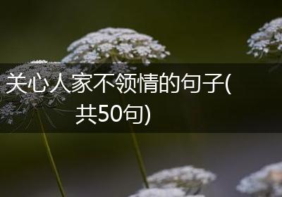 关心人家不领情的句子(共50句)