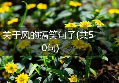 关于风的搞笑句子(共50句)