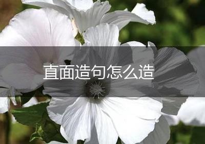 直面造句怎么造
