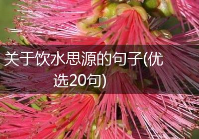 关于饮水思源的句子(优选20句)