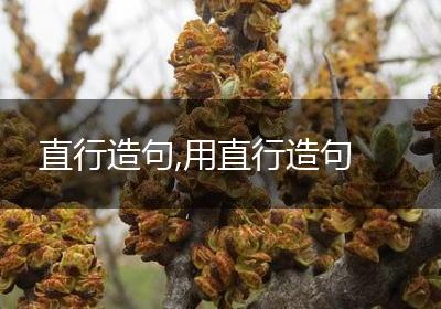 直行造句,用直行造句