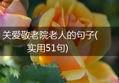 关爱敬老院老人的句子(实用51句)