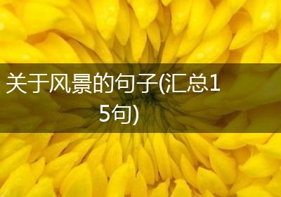 关于风景的句子(汇总15句)