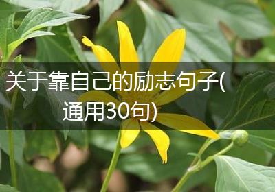 关于靠自己的励志句子(通用30句)