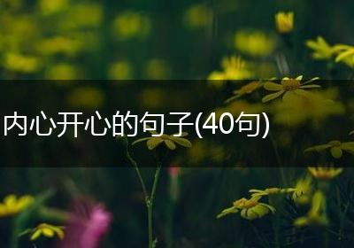 内心开心的句子(40句)