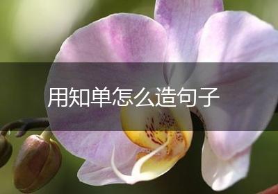 用知单怎么造句子