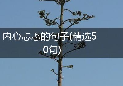 内心忐忑的句子(精选50句)
