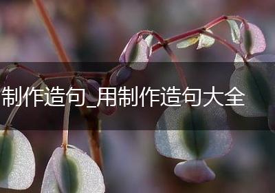 制作造句_用制作造句大全