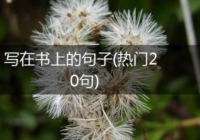 写在书上的句子(热门20句)