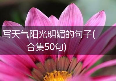 写天气阳光明媚的句子(合集50句)