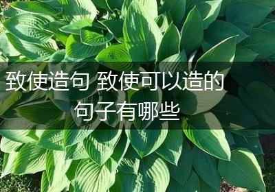 致使造句 致使可以造的句子有哪些