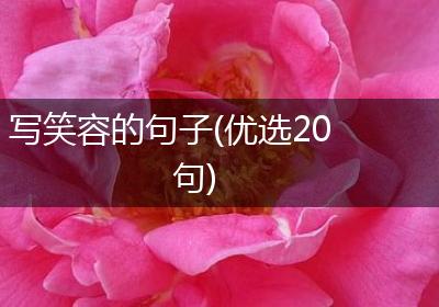 写笑容的句子(优选20句)