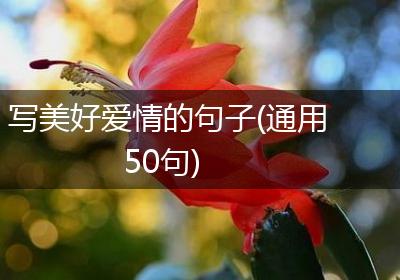 写美好爱情的句子(通用50句)