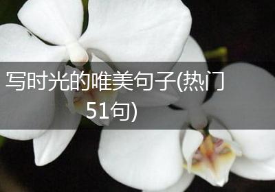 写时光的唯美句子(热门51句)