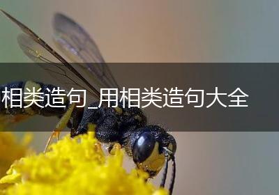 相类造句_用相类造句大全