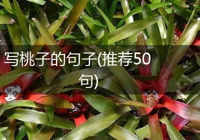 写桃子的句子(推荐50句)