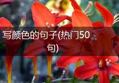 写颜色的句子(热门50句)