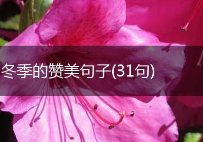 冬季的赞美句子(31句)