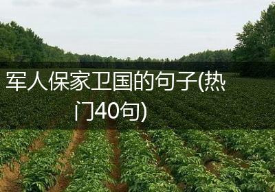 军人保家卫国的句子(热门40句)