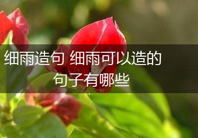 细雨造句 细雨可以造的句子有哪些