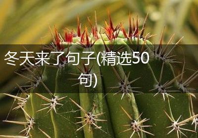 冬天来了句子(精选50句)