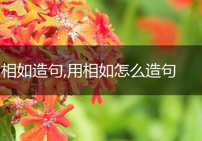 相如造句,用相如怎么造句