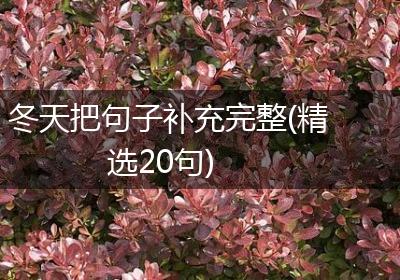 冬天把句子补充完整(精选20句)