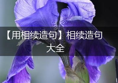 【用相续造句】相续造句大全