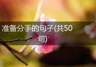准备分手的句子(共50句)