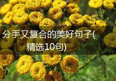 分手又复合的美好句子(精选10句)