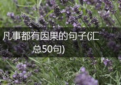 凡事都有因果的句子(汇总50句)