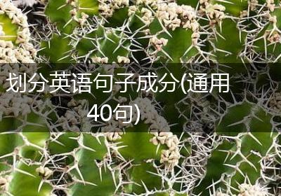 划分英语句子成分(通用40句)