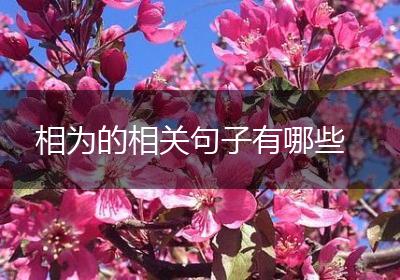 相为的相关句子有哪些