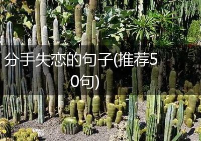 分手失恋的句子(推荐50句)