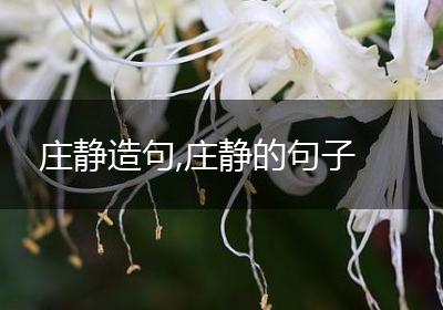 庄静造句,庄静的句子