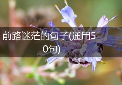 前路迷茫的句子(通用50句)