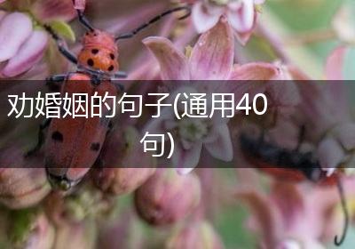 劝婚姻的句子(通用40句)
